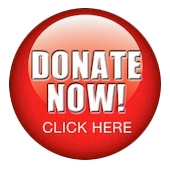 donate-button